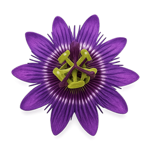 Passionflower